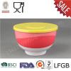 Best Selling Melamine Rice Bowl With Lid