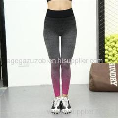 Omber Spandex Leggings In Fuchsia