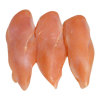 order halal Processed frozen chicken breast fillet