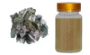 Icariin Epimedium extract Horny goat weed extract flavonoids Ieariline