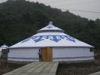 113 Sqm Large Outdoor Family Mongolian Yurt Tent With Attractive Appearance