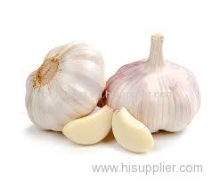 Garlic Extract Product Product Product