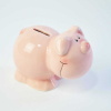 Pretty Piggy Bank with Lovely Pig Shape