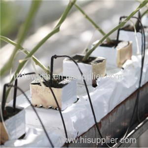 Dripping Irrigation Product Product Product