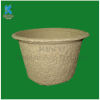 Molding plant pulp flower pot cup custom