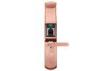 Low Battery Alert Fingerprint Door Lock Waterproof Governmental Security Applications