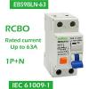 RCD Residual Current Devices RCCB RCBO