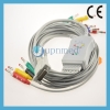 Kontron EKG P80 10 lead ekg cable Banana plug end U229-11BI