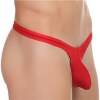 Young Men's Sexy T-back Thong G-String Mesh See Through Briefs Underwear String Bikini