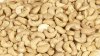 Natural Cashew nuts in stock