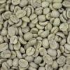 Arabica coffee bean roasted Laos arabica best quality coffee bean