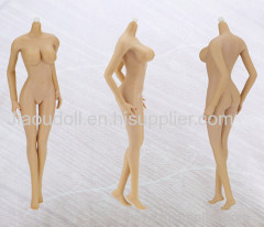 1/6 Scale Figure Toys With Big Breast
