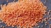 Split Red Lentils available in stock