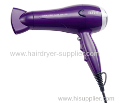 professional hair dryer with ionic / diffuser / AC or DC motor for choice