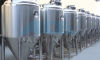 Sanitary Fermentation and Ferment Growing Mixing Tank