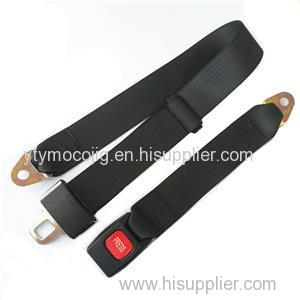 Simple 2 Points Car Safety Belt