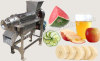 Screw Juice Extractor Machine