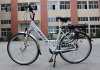 Europe Standard Electric bicycle