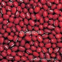 Adzuki beans (small red beans)