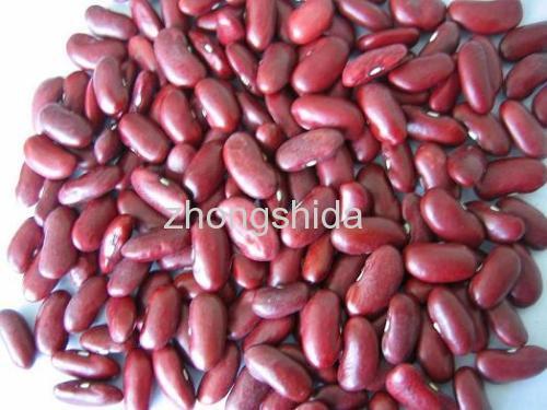 Dark red kidney beans