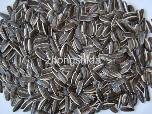 Sunflower seeds (sunflower seed)