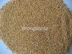 Yellow unhusked rice (millet)