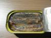 Various types of canned fish best canned sadine