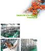 Juice Extractor Machine Fruit Juice Processing Line 20T/D2000T/D Capacity