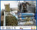 Pineapple Processing Juice Factory Machinery With Fruit Juice Packaging Machine
