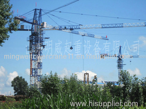 Shandong Mingwei Construction machine tower crane with high quality