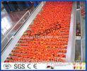 Tomato Planting Machine Tomato Processing Line Full / Semi Automatic 2 - 50 T/H