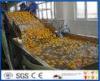 Energy Saving Orange Processing Line with Glass / PET Bottle Filling Machine