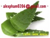 CRUSHED ALOE VERA JELLY / ALOE VERA DICED / FRESH ALOE VERA LEAVES