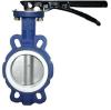 Casting Steel Material Lug Type Concentric Butterfly Valves NPS2&quot;-48&quot;