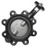 Lug Type Casting Iron Material Concentric Butterfly Valves NPS2