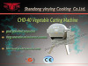 CHD 20I Vegetable Cutting Machine