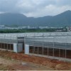 Openable Roof Film Greenhouse