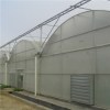 Multi Span Film Greenhouse