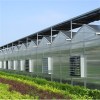 Venlo PC Greenhouse Product Product Product