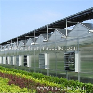 Venlo PC Greenhouse Product Product Product