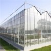 Venlo Glass Greenhouse Product Product Product