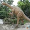 Newly Outdoor Giant Dinosaur