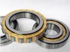 high quality cylindrical roller bearing
