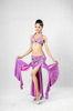 2pcs Lyrical Purple Halter Neck Metallic Bras & Skirt Belly Dancing Clothes