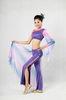 2 Pcs Purple Belly Dancing Clothes Diagonal Neckline Bra Leotard Long Dress Pants