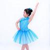 Diagonal Neckline Glitter Floral Tutu Dress Blue Little Girls Dance Clothes