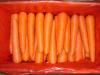 China New Fresh Red Carrot