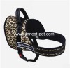 dog collar and leash dog harness