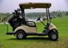 Electrical Mini 2 Seater Club Golf Carts 48V 3KW With Caddy Plate CE Approved