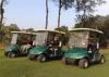 Easy Go Club 2 Seater Golf Carts Street Legal With 3 KW KDS Motor